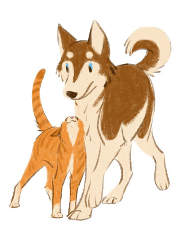 the cat is warming up to the dog