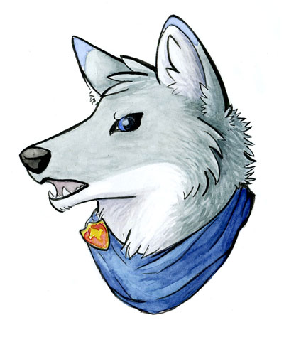 golden retirever/malamute