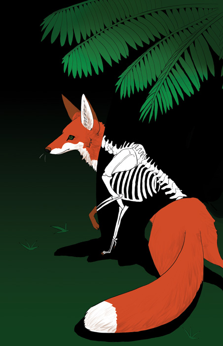 a fox standing in the shadow of a fern, with its skeleton showing